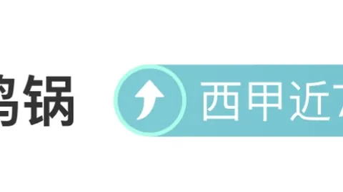 “国乒亚洲杯荣耀夺冠，六国旗辉映胜利时刻”