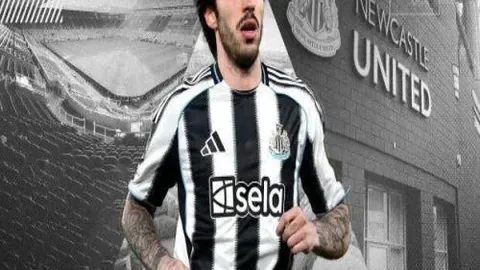 运动员光环背后的暗影：涉黄丑闻、性侵风波、药物滥用、私密派对揭秘