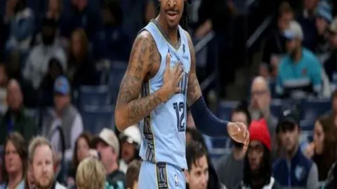 九牧之野转服规则解读：名额分配与条件要求