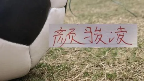 大乐透期号专家推荐：德篮甲连胜后外战前景分析